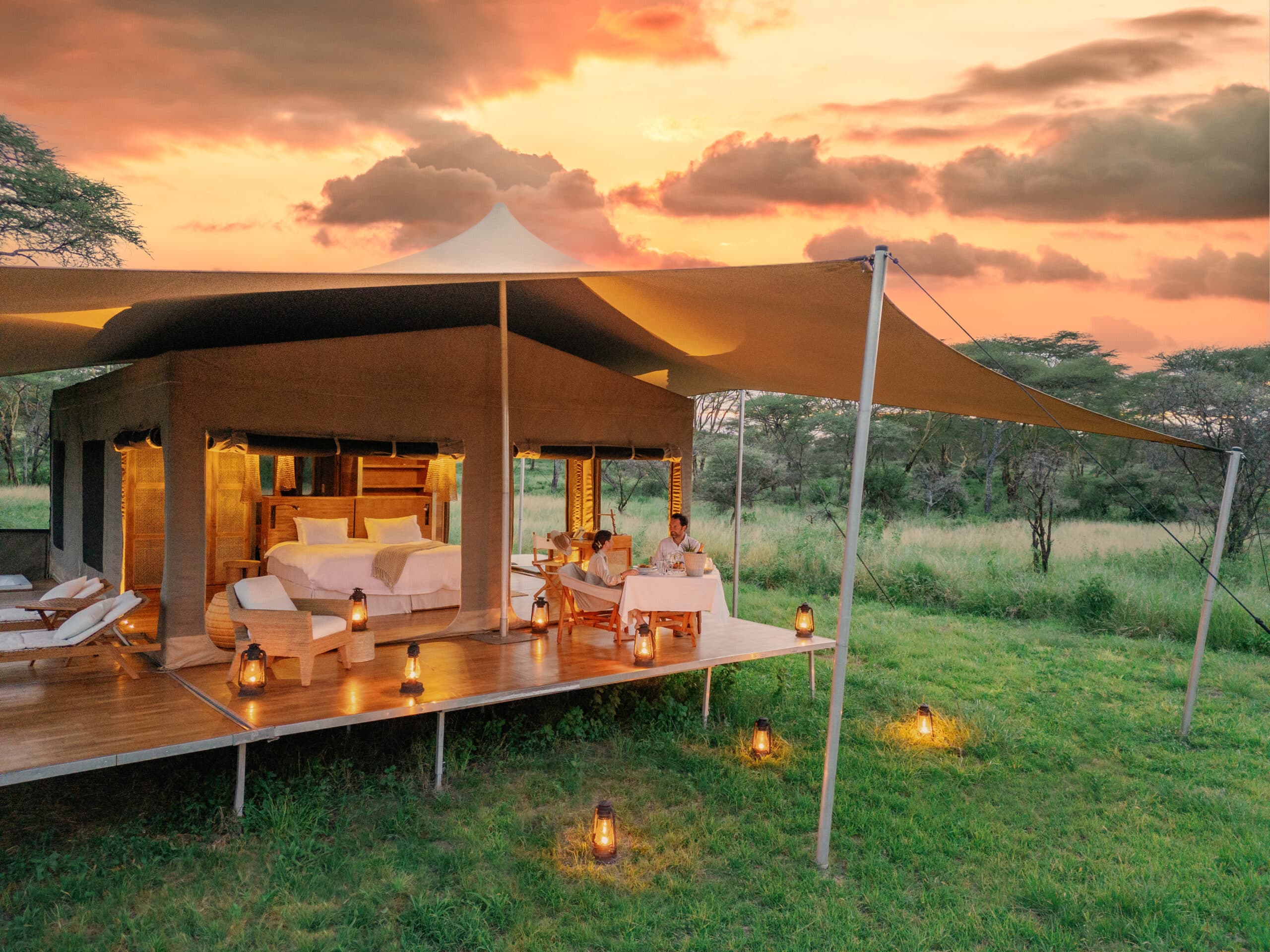 Luxury Safari