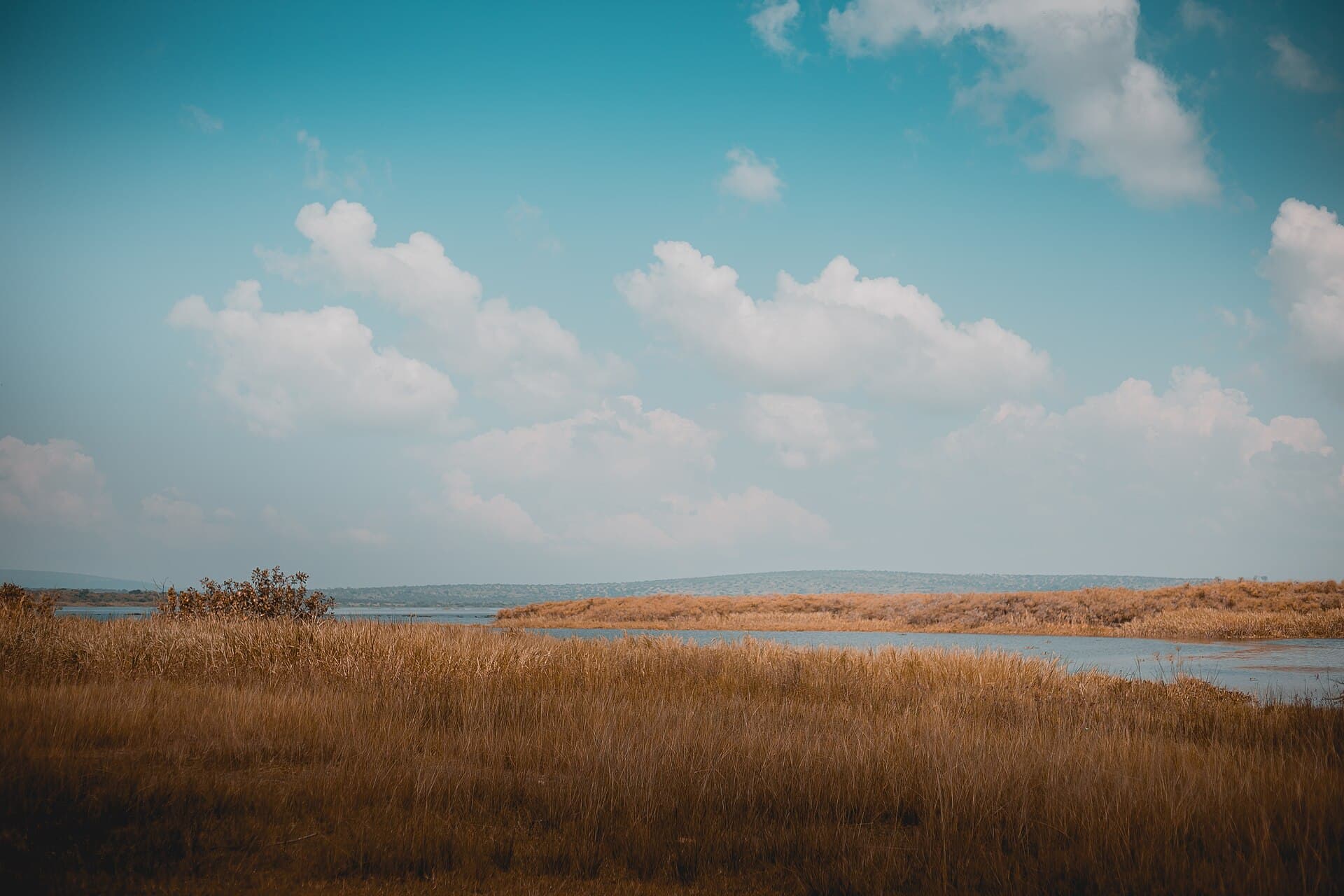 Savannah and lake scenery in Akagera National Park, Rwanda