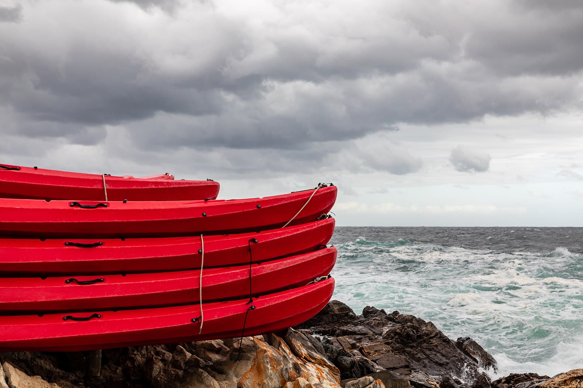 The forested coastline of South Africa's Garden Route