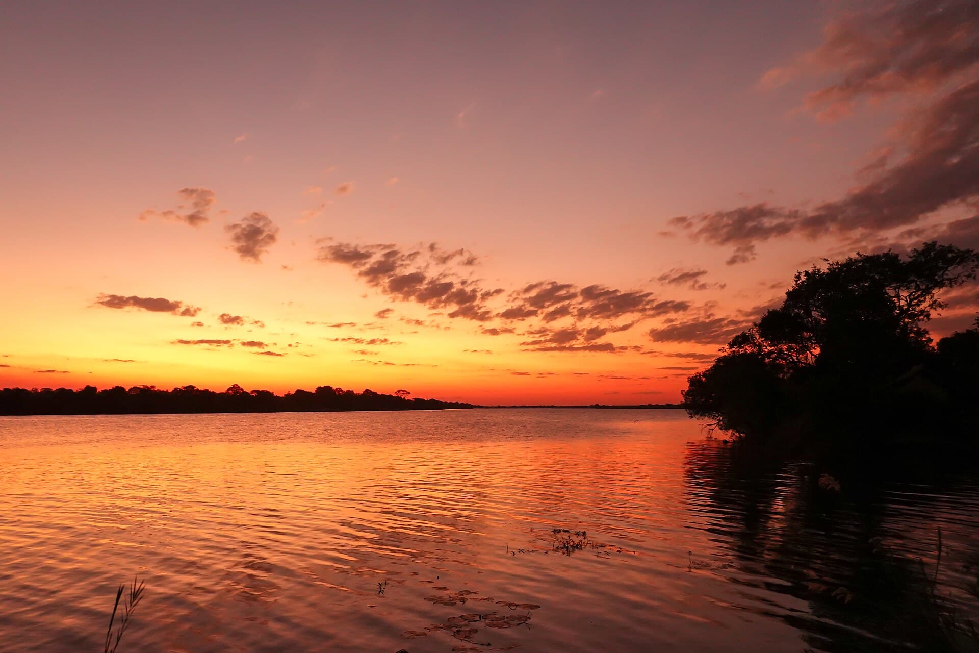 Sunset over the Kafue River in Zambia
