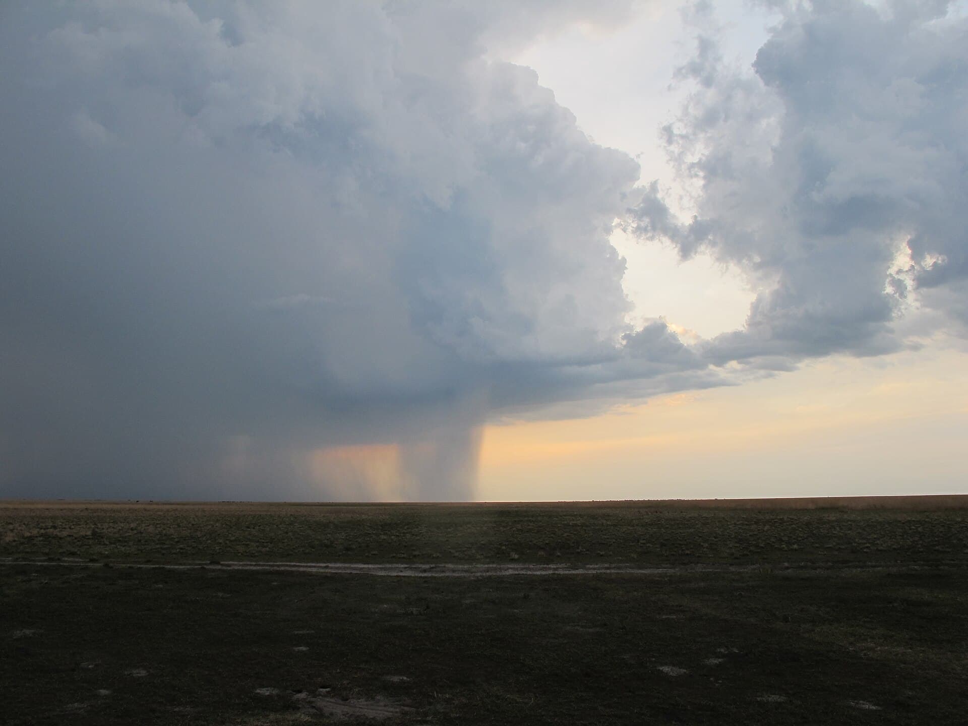 The expansive grasslands of Liuwa Plain National Park