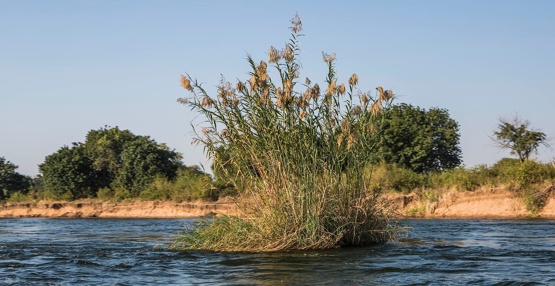 The Zambezi River flowing through the Lower Zambezi landscape