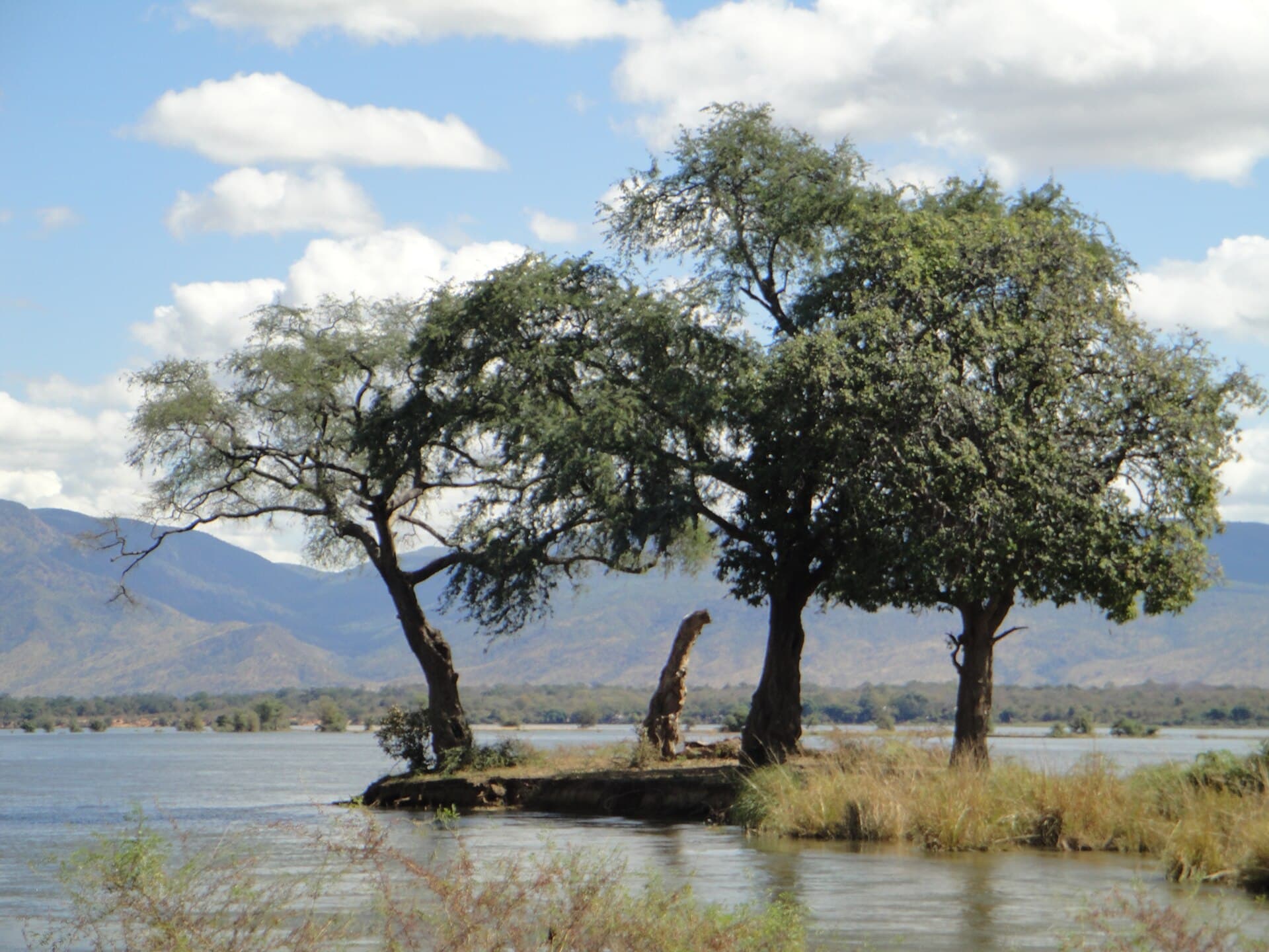 An island in the Zambezi River at Mana Pools National Park