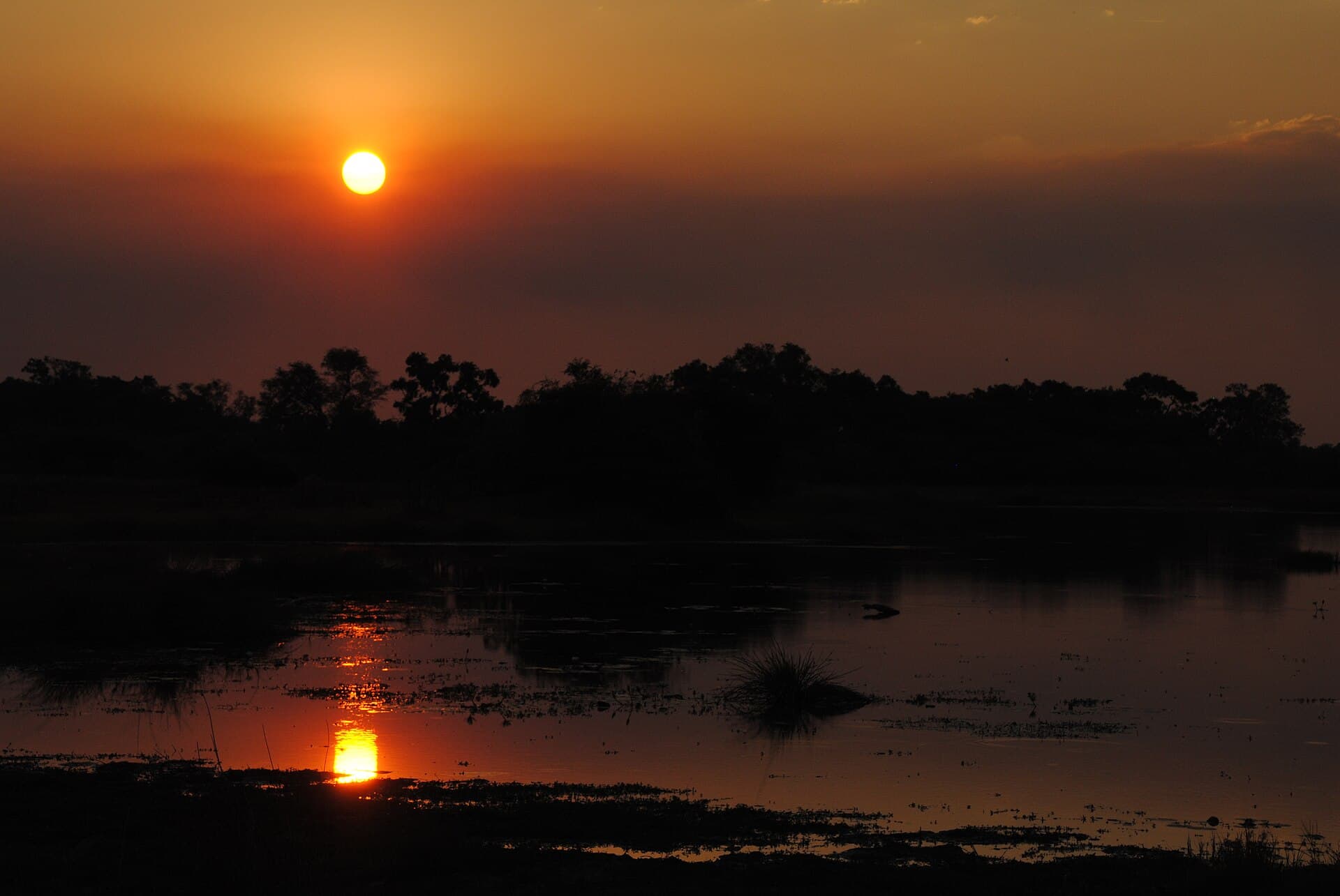 Sunset across the wetlands of Moremi Game Reserve