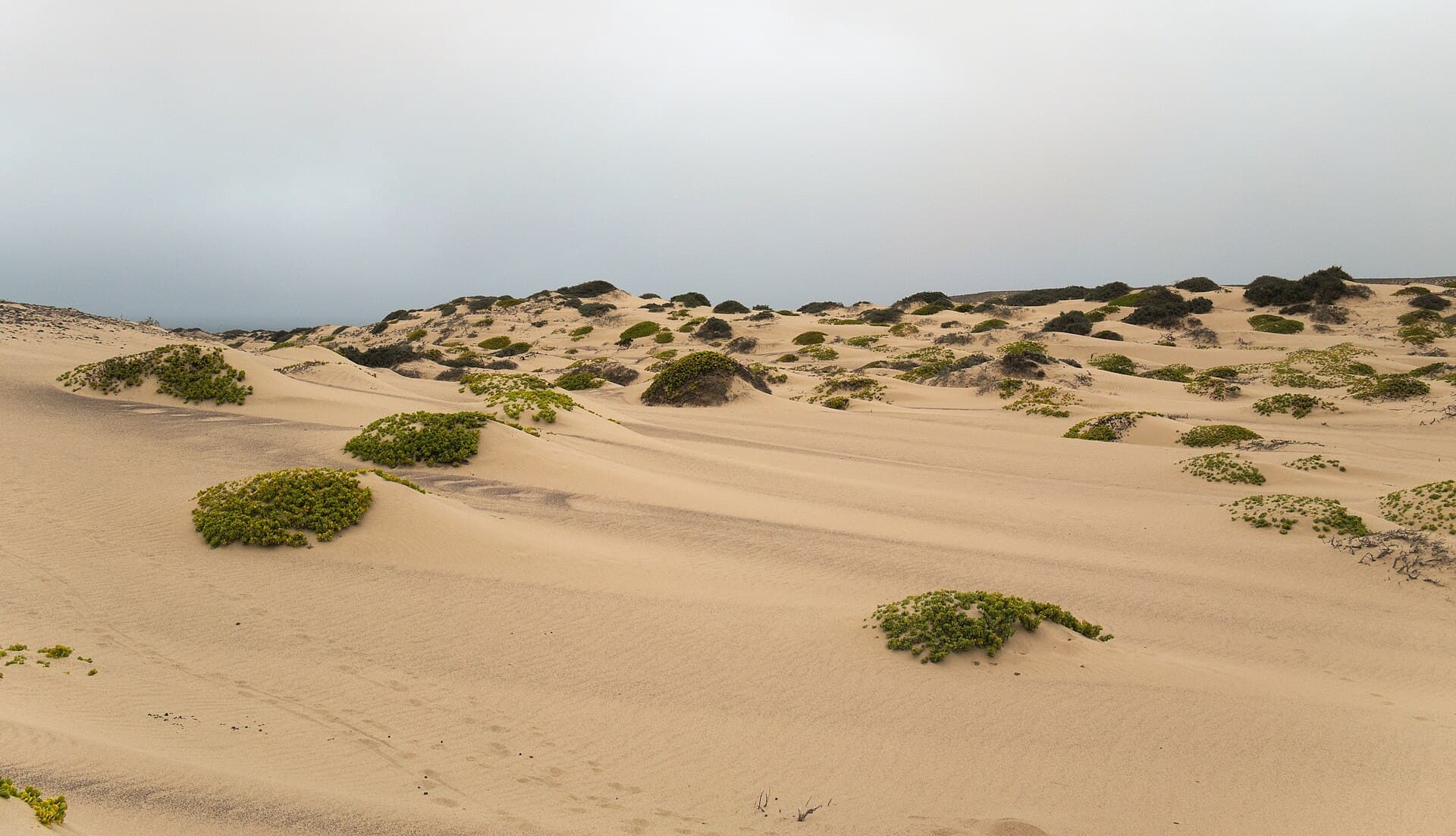 Sand dunes reaching the Atlantic along Namibia's Skeleton Coast