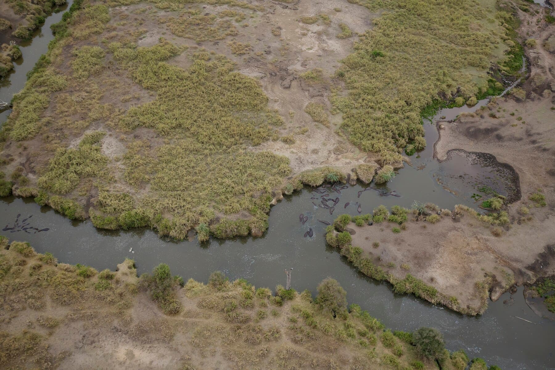 Scenic bush flight