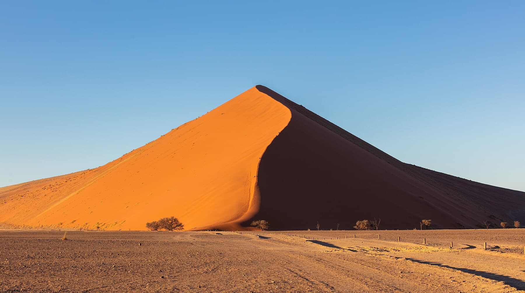 Namib dune morning