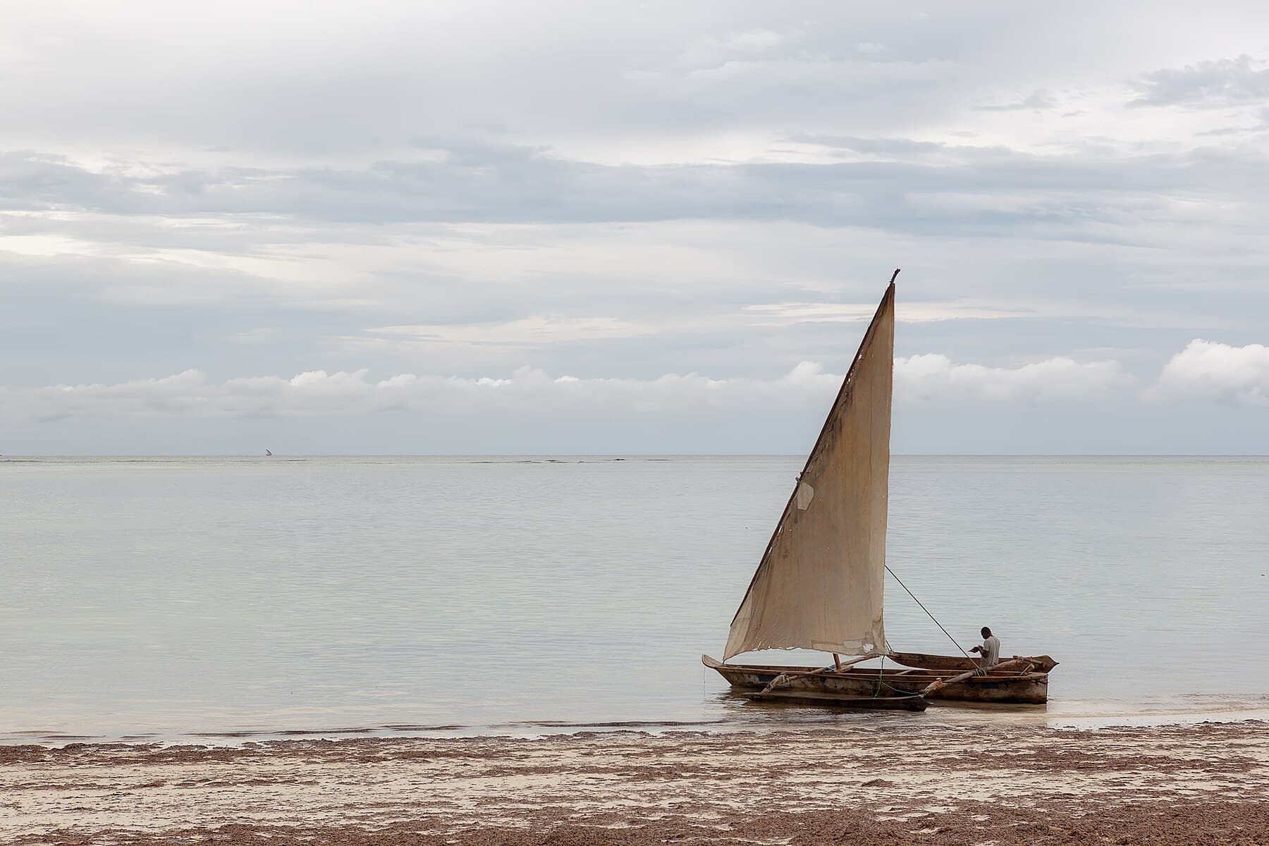 Private dhow sailing