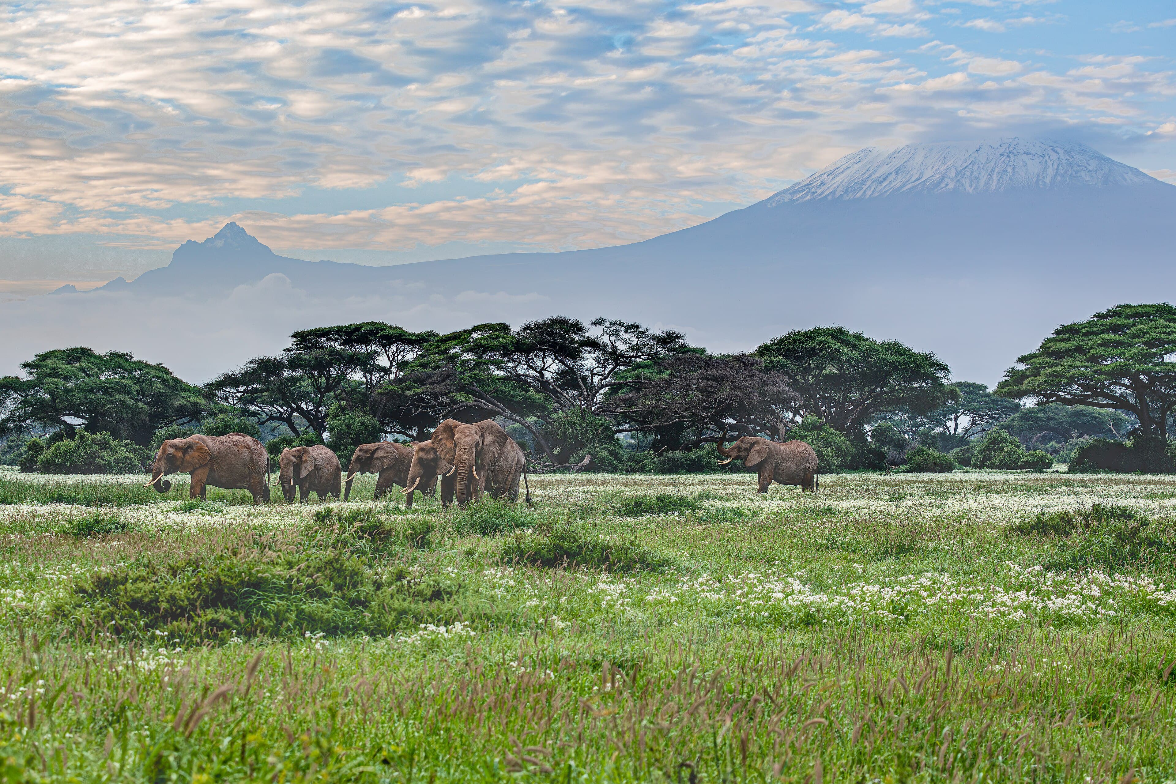 Kenya, in detail.