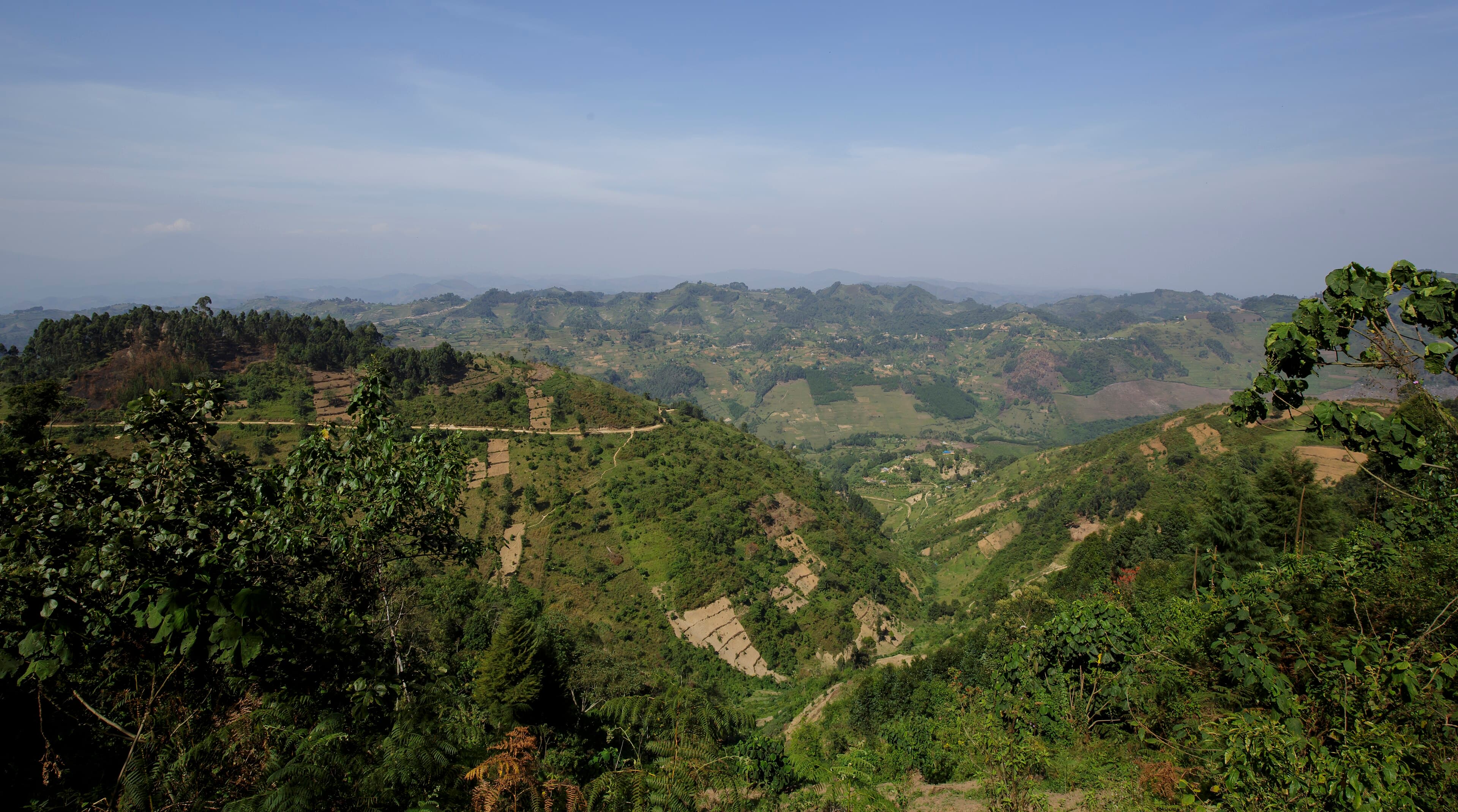The green mountain landscape surrounding Bwindi Impenetrable Forest in Uganda