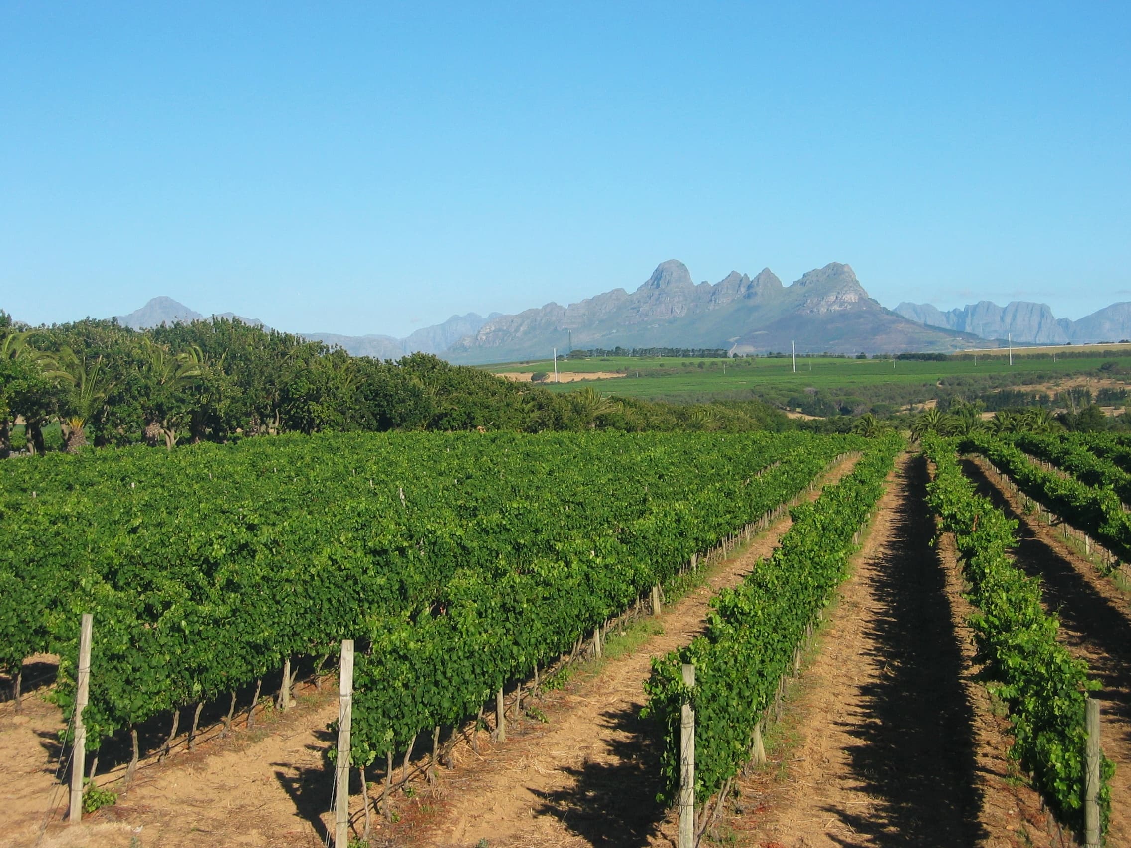 Wine estates